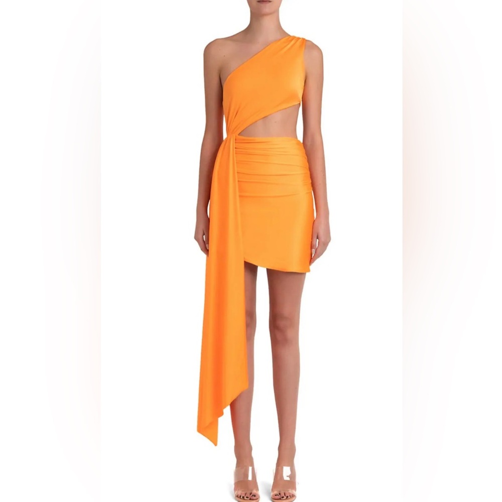 Baobab Zadeh Mini Dress in Orange